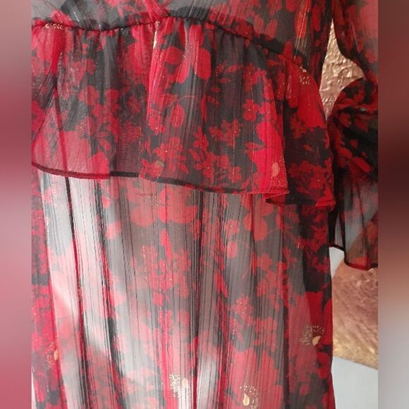 Zara Chiffon Sheer Ruffled Mini Dress - Picture 2 of 13